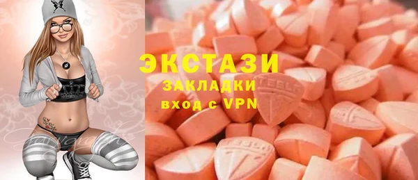 стаф Аркадак