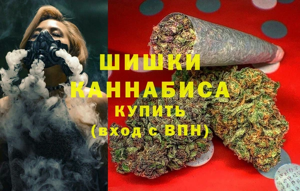 стаф Аркадак