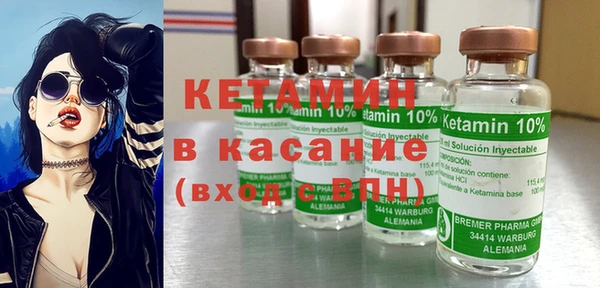 стаф Аркадак