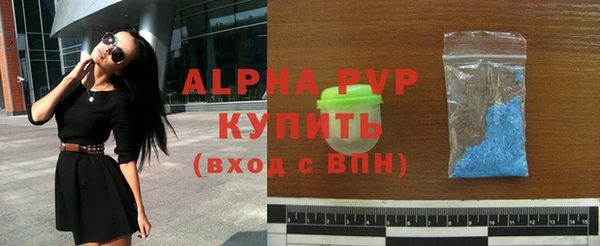 стаф Аркадак